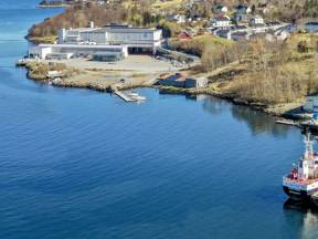 vedde sildolje mobil